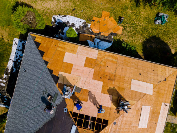Best Flat Roof Repair Services  in Shady Hills, FL
