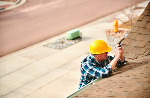 Best Roof Gutter Cleaning  in Shady Hills, FL
