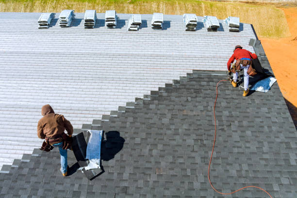 Best Storm Damage Roof Repair  in Shady Hills, FL